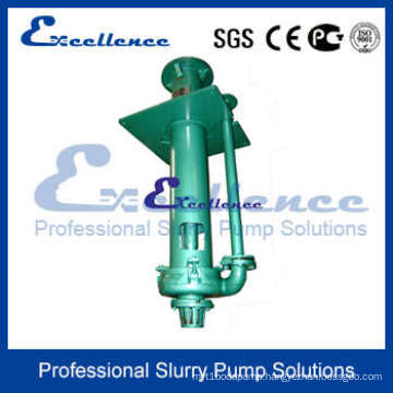 Top Quality Vertical Slurry Pumps (EVM-65Q)